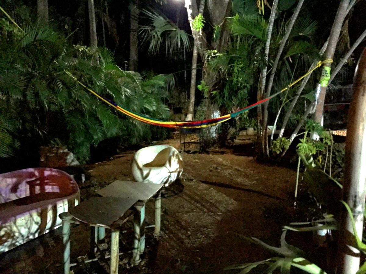 Villa Palmitas Acogedor Departamento Nivel Piscina Gigante Jardines Acapulco Eksteriør billede