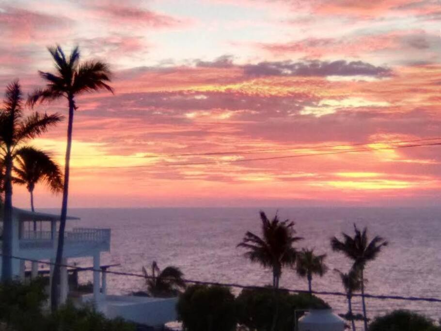 Villa Palmitas Acogedor Departamento Nivel Piscina Gigante Jardines Acapulco Eksteriør billede